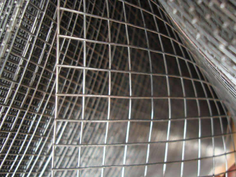 Electro Galvanized Welded Wire Mesh