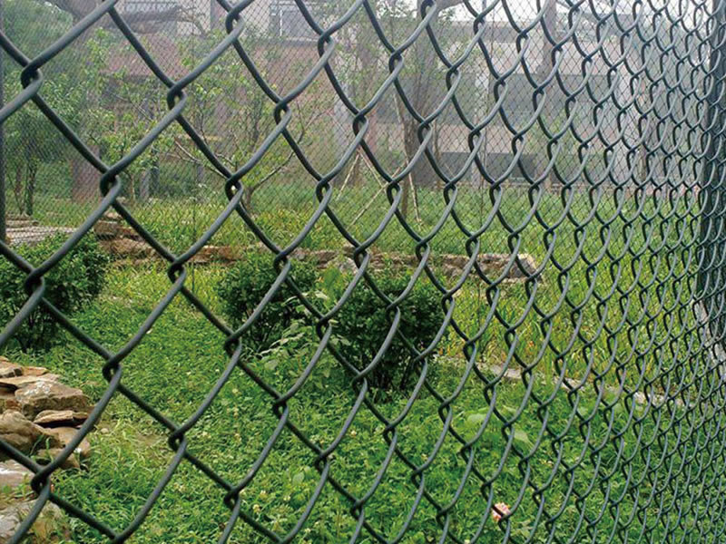 PVC Coated Chain Link Fences